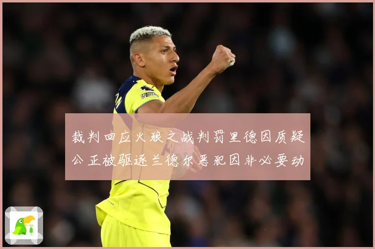 裁判回应火狼之战判罚里德因质疑公正被驱逐兰德尔恶犯因非必要动赛场复盘：最新赛事动态与深度分析